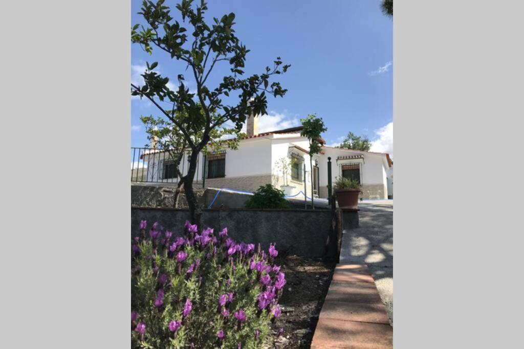 Vila Casa Dimas Cómpeta Exteriér fotografie